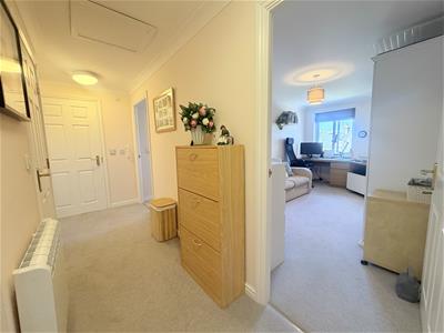 Picture 8